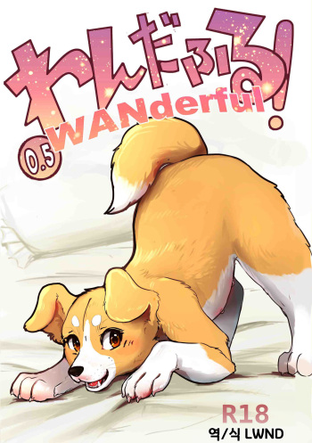 WANderful! 0.5 cover