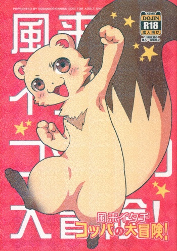 Fuurai Itachi Koppa no Daibouken! cover