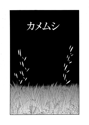Shiriizu Kamemushi cover