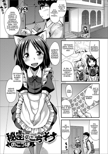 Himitsu no Gochisou cover