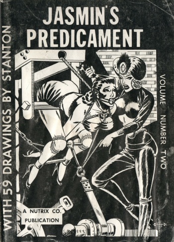Jasmin's Predicament #2 cover