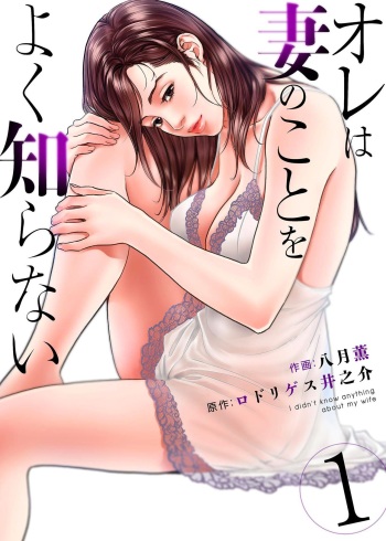 Ore wa Tsuma no Koto o Yoku Shiranai 1-12 cover