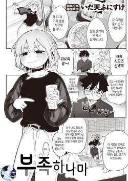 부족하나마