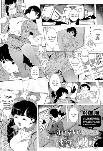 Mitsuami Hodokete cover