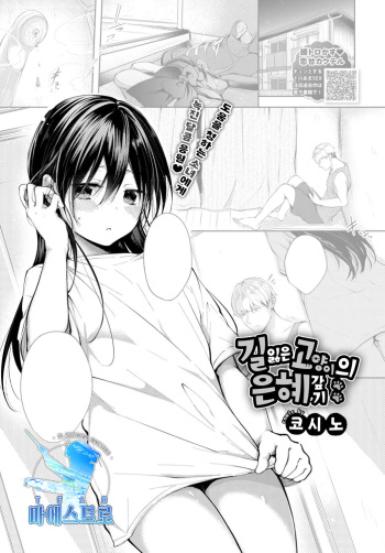 Mayoineko no Ongaeshi | 길잃은 고양이의 은혜갚기 cover