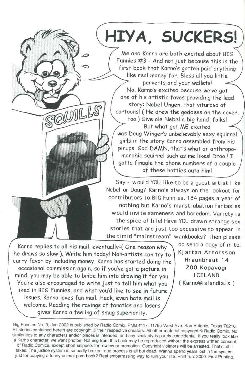 big funnies volume 3 page 2 full