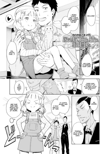 Awa no Ohimesama #15 Fairy to, Neko to, Oshigoto to | Bubbles Princess #15 Fairy, Cats, and Work cover
