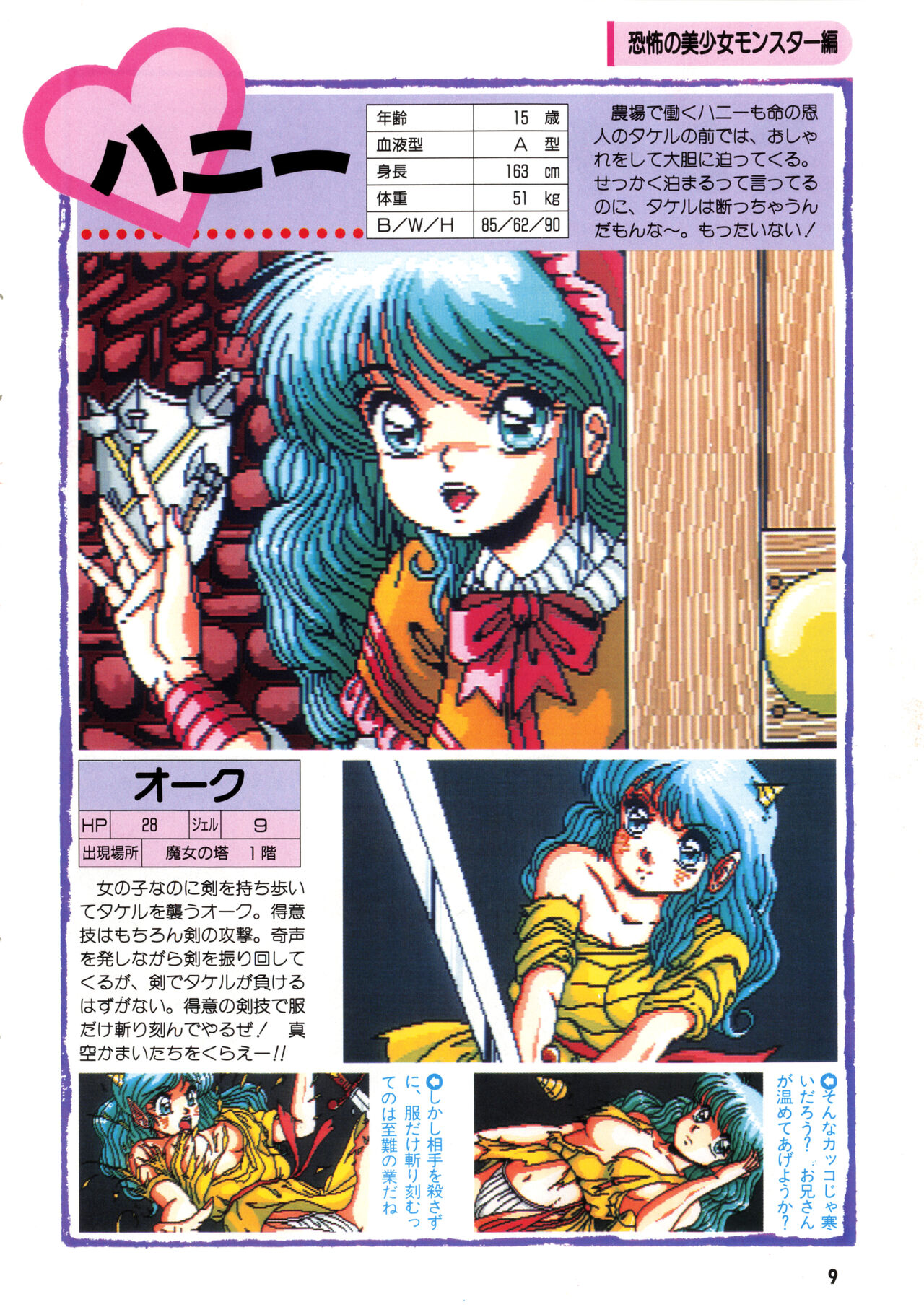 Dragon Knight II Bishōjo Kyara Meikan page 9 full