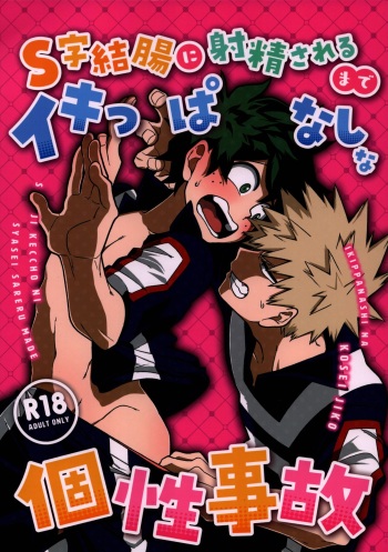 S ji keccho ni syasei sareru made ikippanashi na kosei jiko cover