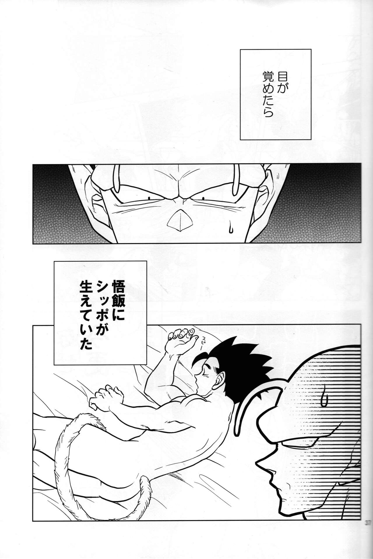 Shippo matsuri page 3 full