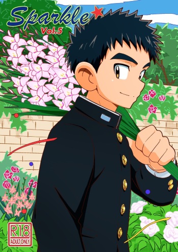 Sparkle Vol. 5 cover