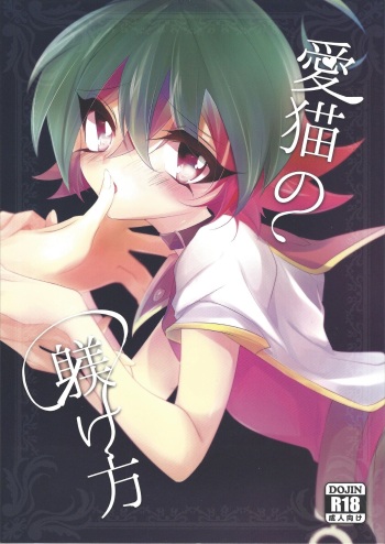Aibyou no Shitsukekata cover
