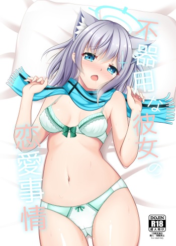 Shirokochan etchi hon sanpuru sample cover