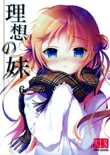Risou no Imouto 6 cover