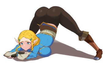 Zelda cover