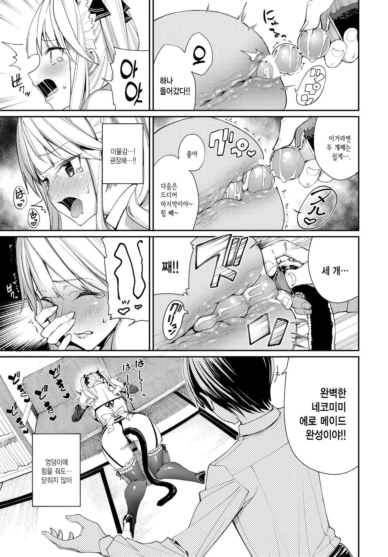 Neko Maid to Tsundere Kanojo | 고양이 메이드와 츤데레 여친 page 5 full