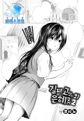 Mayoineko no Ongaeshi 2 | 길잃은 고양이의 은혜갚기 2 cover