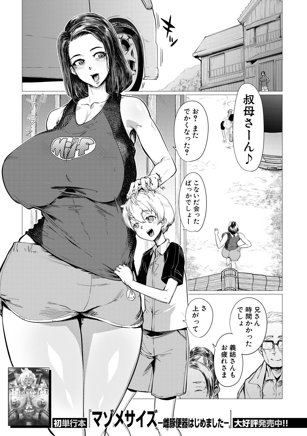 Countryside Toy page 1 full