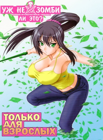 Kore wa Kyuuketsu Ninja Desu ka? cover