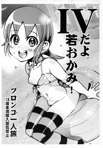 Shounen Builder-tachi wa dou yatte Gunpla o Kaizou suru Okane o Kumen shiteiru ka Wakaru Hon / IV da yo Waka Okami! cover