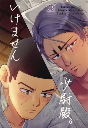 Ikemasen Shoui-dono. cover