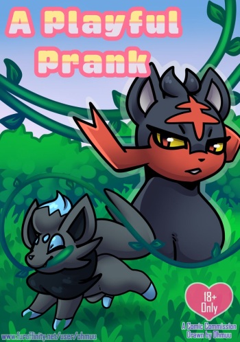 Playing Prank cover
