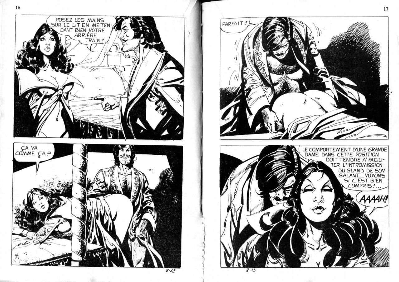PFA - Elvifrance - Satires #7 D'Artagnan page 9 full