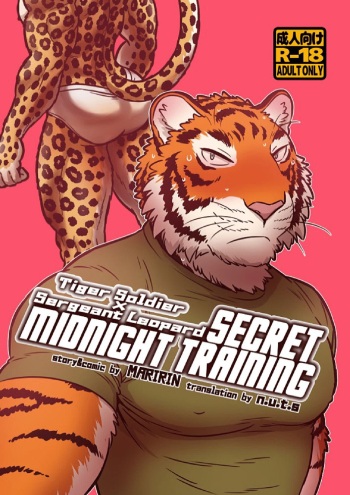 Secret Midnight Training cover