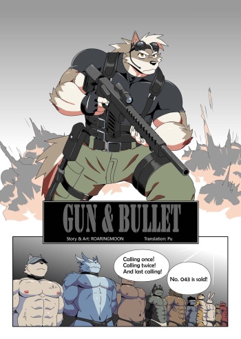 gun and bullet cover