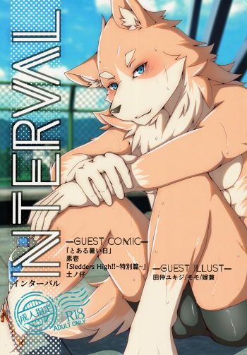INTERVAL cover