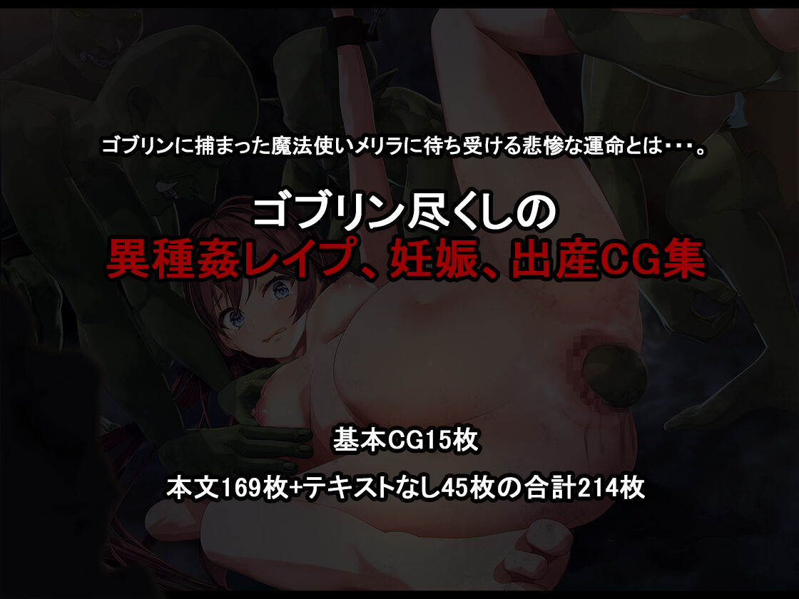 Shoshinsha Mahoutsukai wa Goblin Snyou no Harami Bukuro to Shite page 5 full