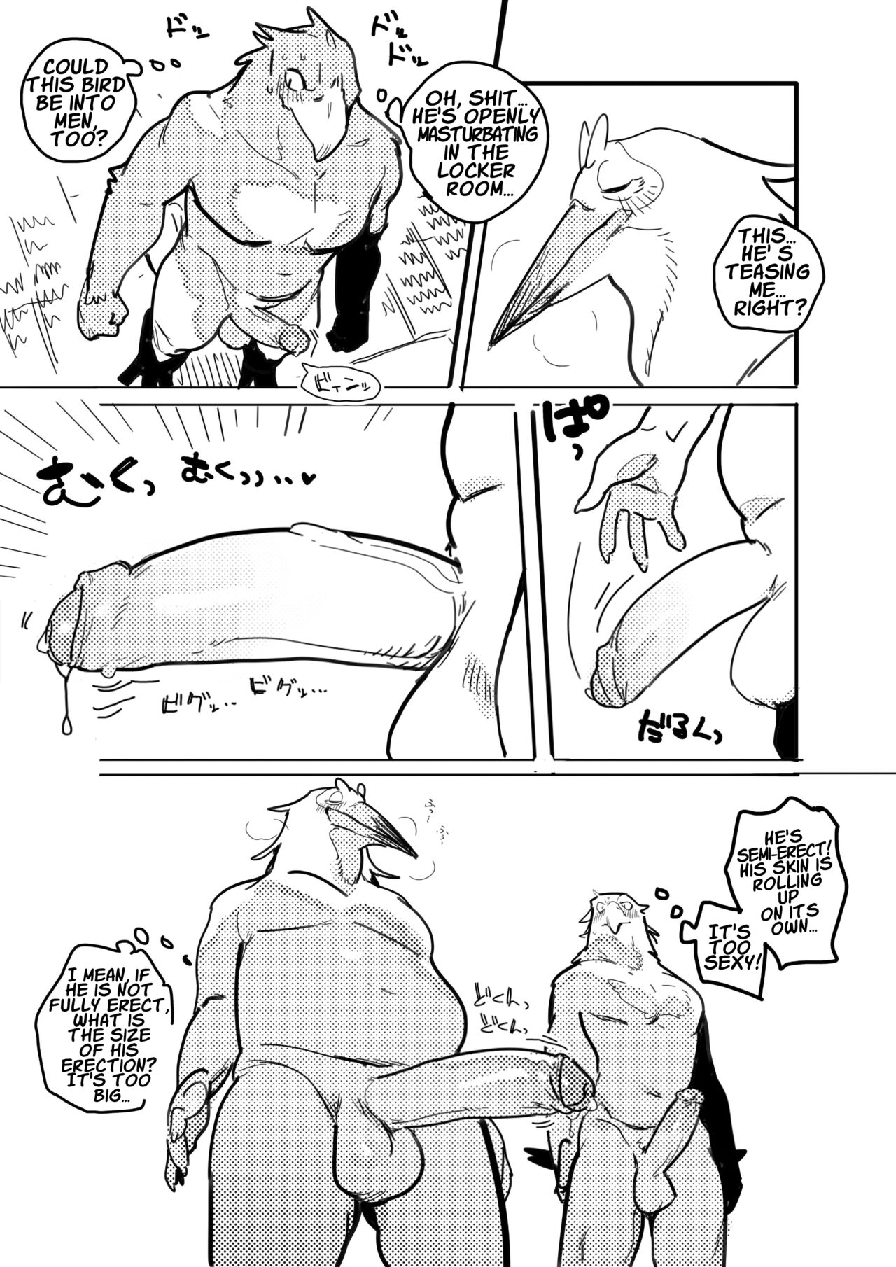 Pelican and White-tailed Eagle page 4 full