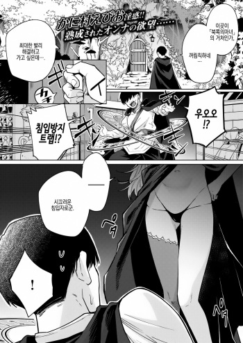 Kojirase majo o tobatsu seyo! cover