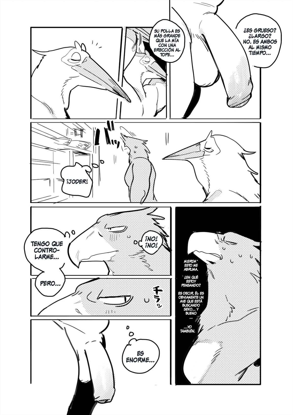 El Pelicano y el Águila de Cola Blanca/Pelican and White-tailed Eagle page 3 full