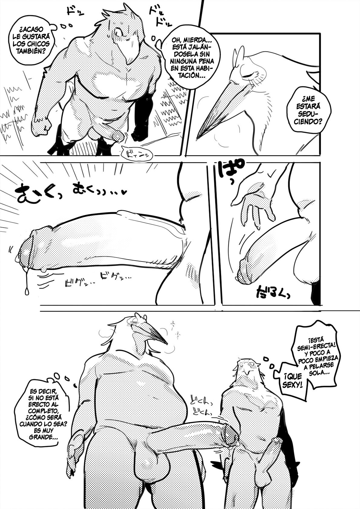 El Pelicano y el Águila de Cola Blanca/Pelican and White-tailed Eagle page 5 full