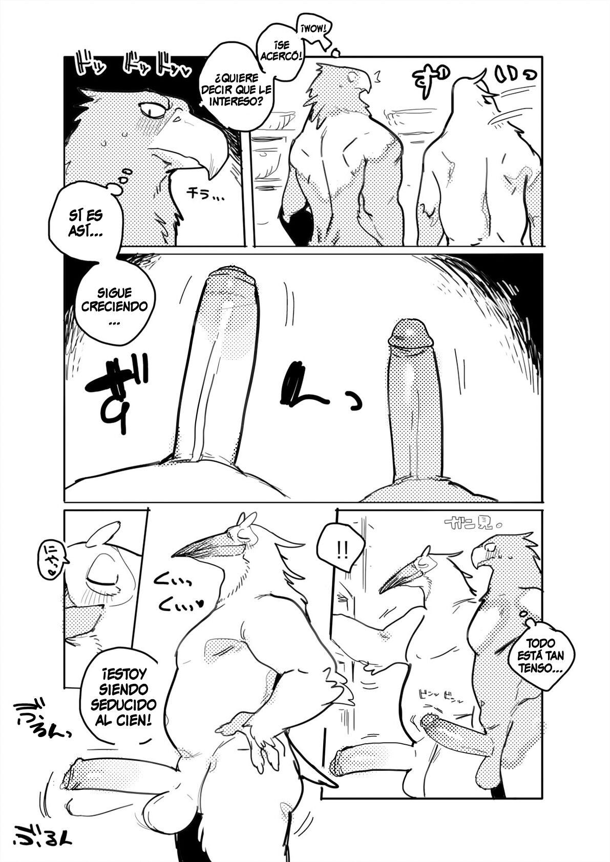 El Pelicano y el Águila de Cola Blanca/Pelican and White-tailed Eagle page 6 full