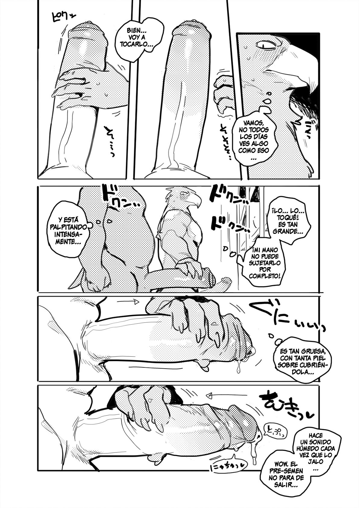 El Pelicano y el Águila de Cola Blanca/Pelican and White-tailed Eagle page 7 full