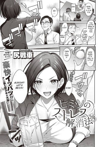 Himitsu no Stress Kaishouhou cover