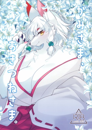 Kami-sama, Okitsune-sama. cover