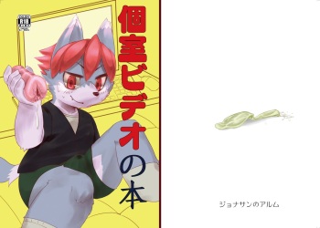 個室ビデオの本 cover