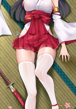 Dakimakura Project Side