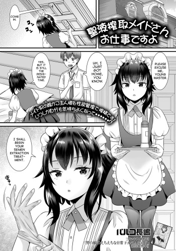 Seiki Sakushu Maid-san Oshigoto Desu Yo cover