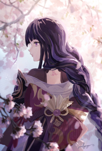 sealgege cover