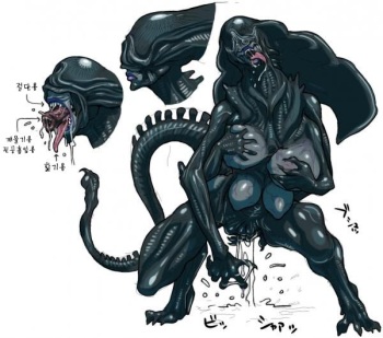 Aliens and Predators cover