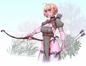 Elves Arts cover