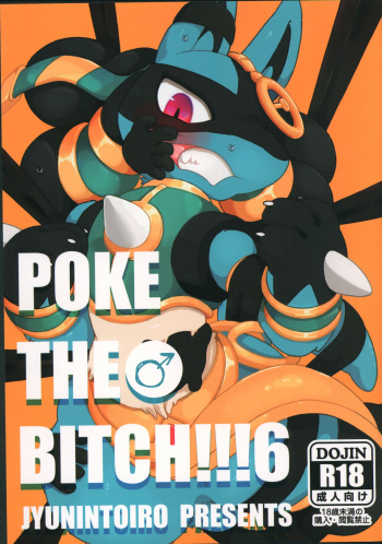 POKE THE BITCH!!! 6 cover