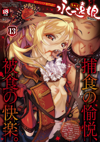 Towako 13 cover