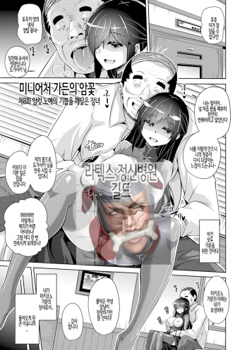 Hakoniwa ni Saku Mesu no Hana Ch.08 | 미니어처 가든의 암꽃 제8화 cover