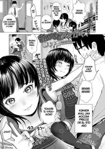 Namesugi Mesugaki cover