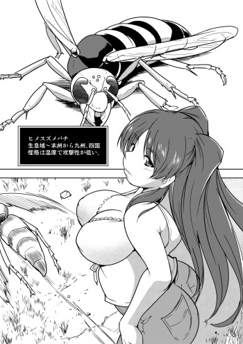 Tamaki X Suzumebachi SS cover